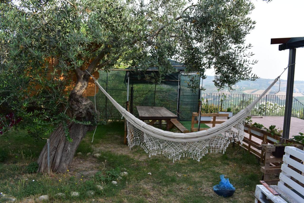 La Villa In Campagna Citta Sant'Angelo Exteriör bild
